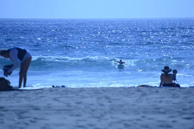 DSC_5012 (Large).JPG